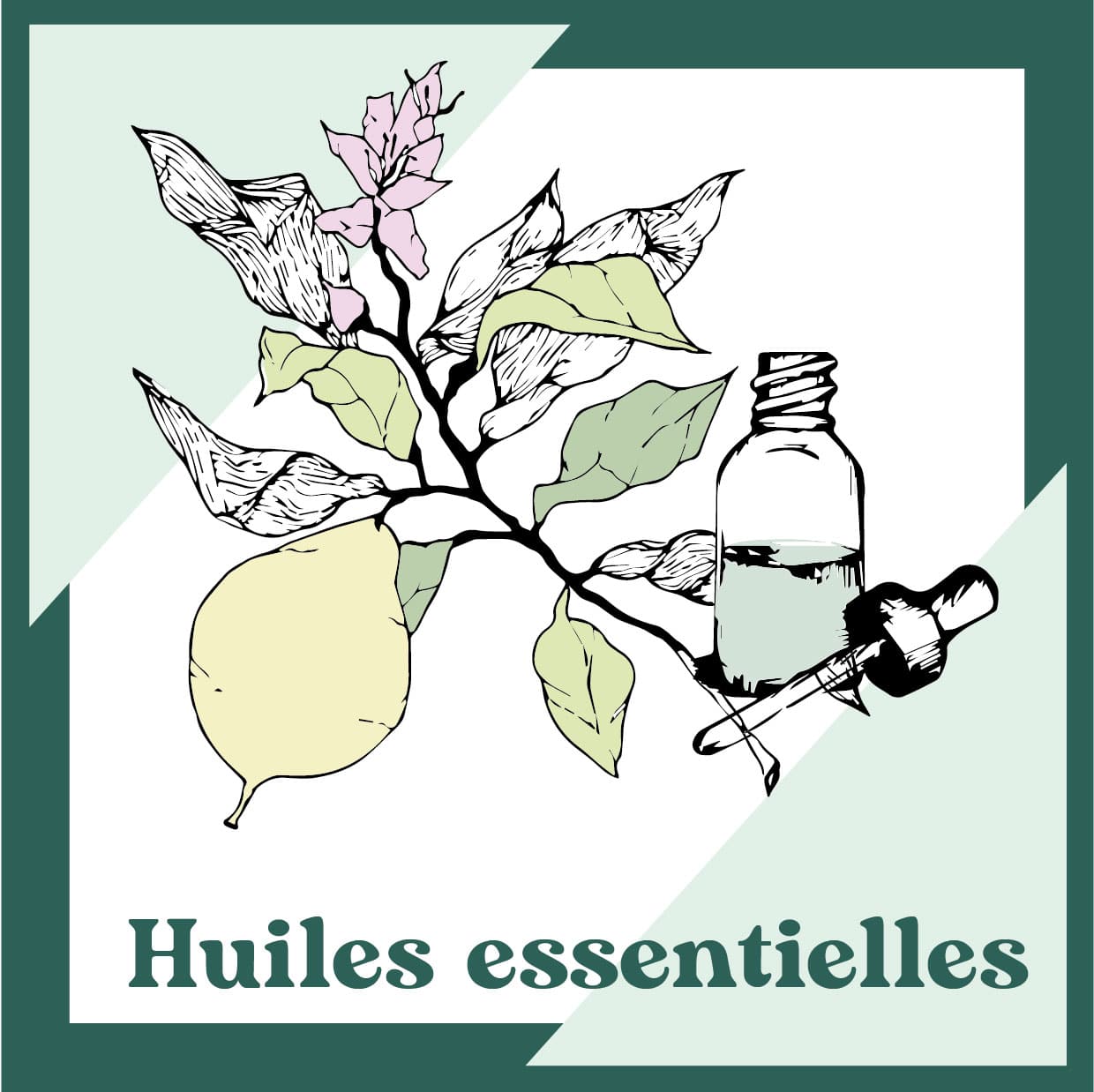 Formation naturopathie Nice - stage huiles essentielles